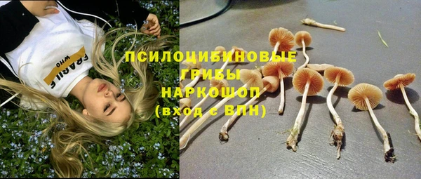 кристаллы Алексин