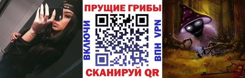 наркотики  блэк спрут ссылка  Галлюциногенные грибы Psilocybine cubensis  Бологое 